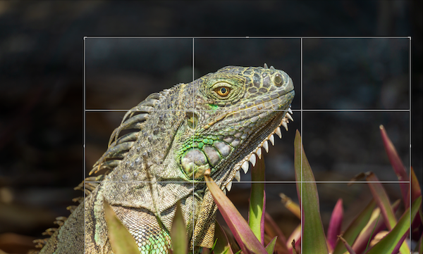 rule of thirds in travel photos